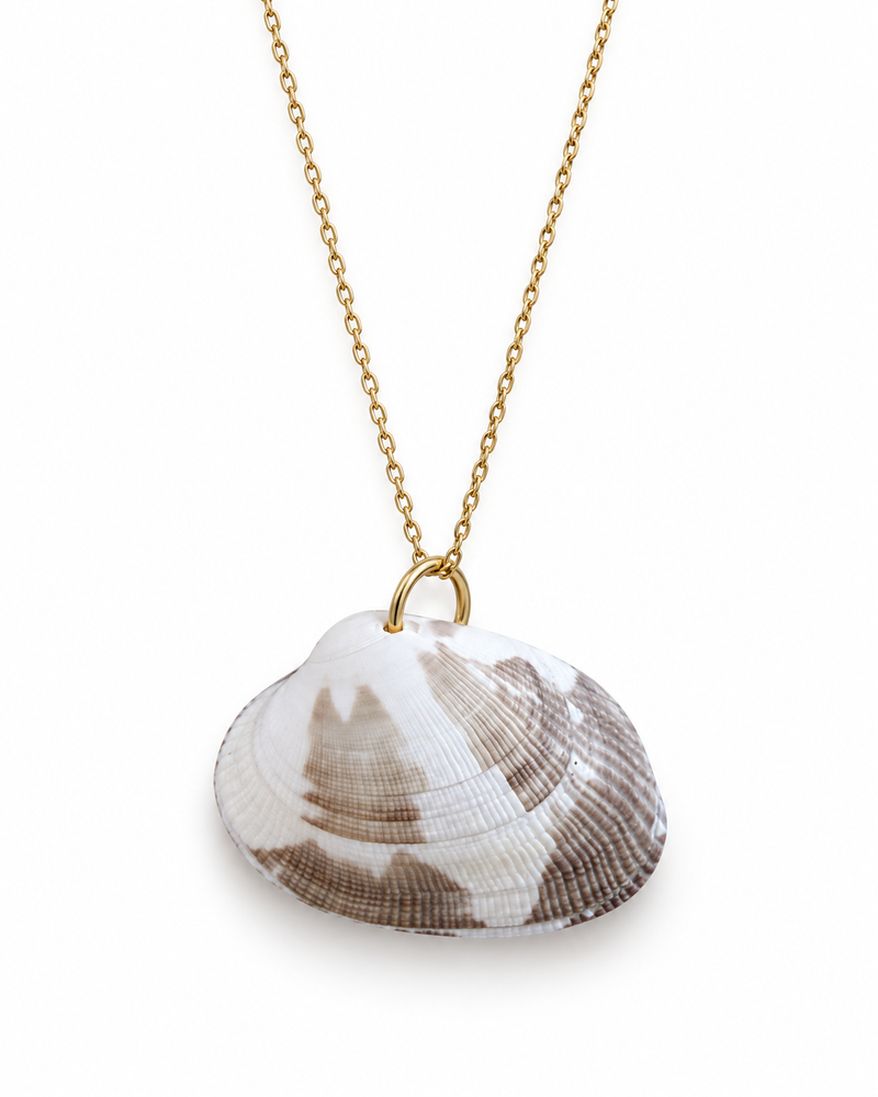 Coque de la mer — collier coquillage véritable