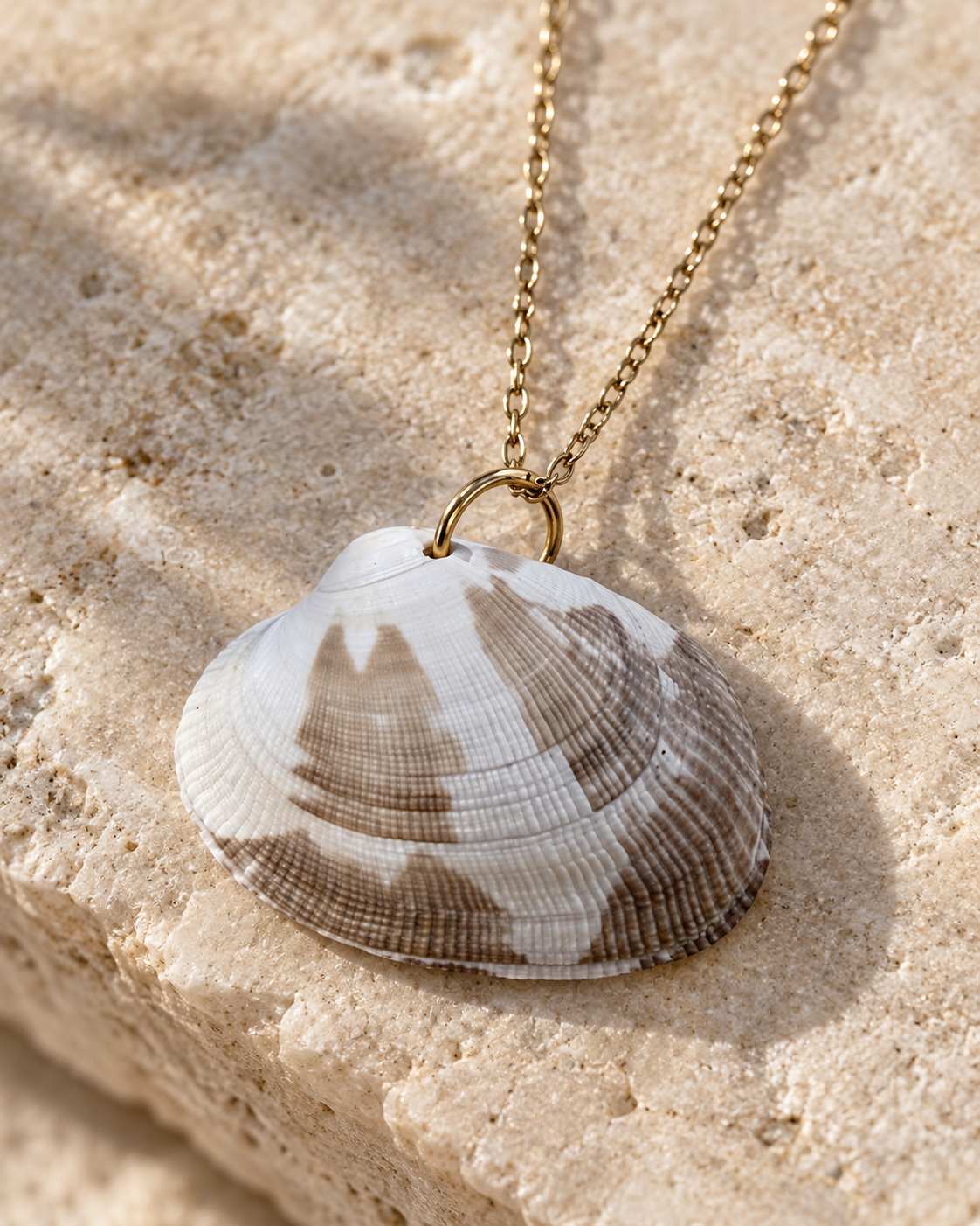 Coque de la mer — collier coquillage véritable (3)