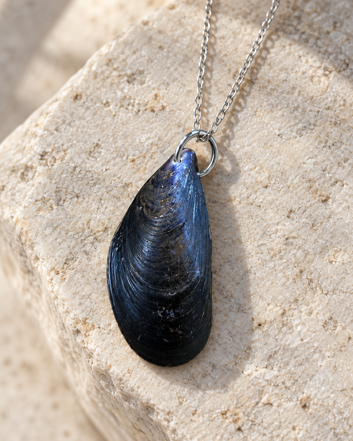 Moule des rivages belges — collier coquillage véritable (4)